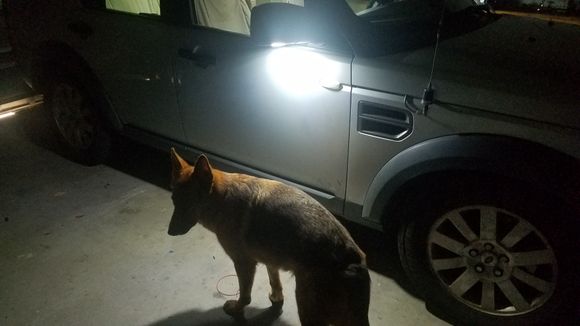 Had to turn off the garage lights to admiring my 4 1/2 hours of work. My helper spent most of the time stretched out in the middle row seats waiting to go for a ride.