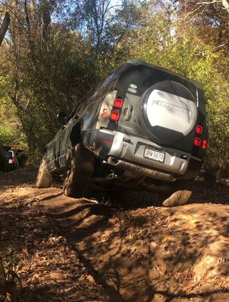 a Pangea Green tripod