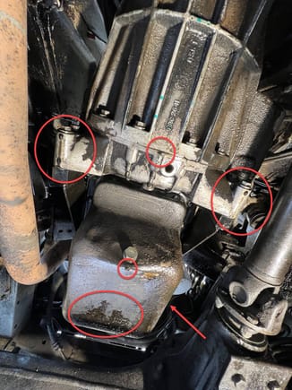 This is the oil under the car. Not sure if this is pooling/spraying or where this oil might be coming from. If you look closely, you can also see some blue coolant on the bell housing. No idea how coolant would make it down there.