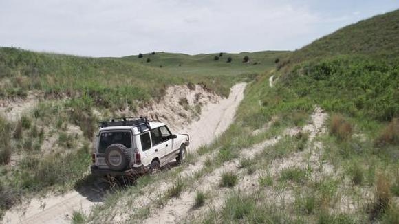 RoveringThe Sandhills WithAmyJune2014 1255 (1800x1012) (2)
