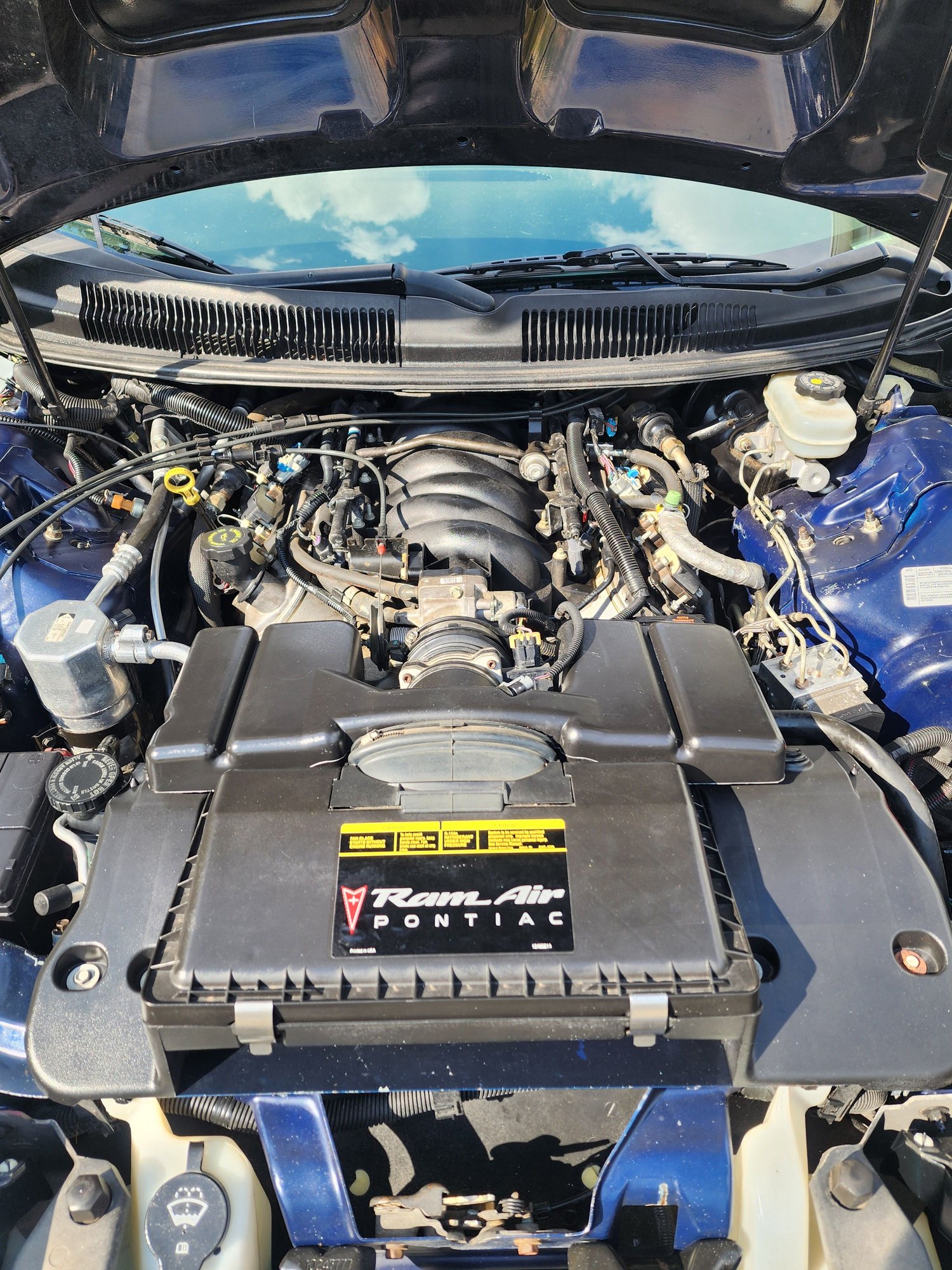 2002 Pontiac Firebird - 2002 trans am low miles ws6 nbm 6sp - Used - VIN 2g2fv22g222106232 - 34,000 Miles - 8 cyl - 2WD - Manual - Coupe - Blue - Dayton, OH 45424, United States