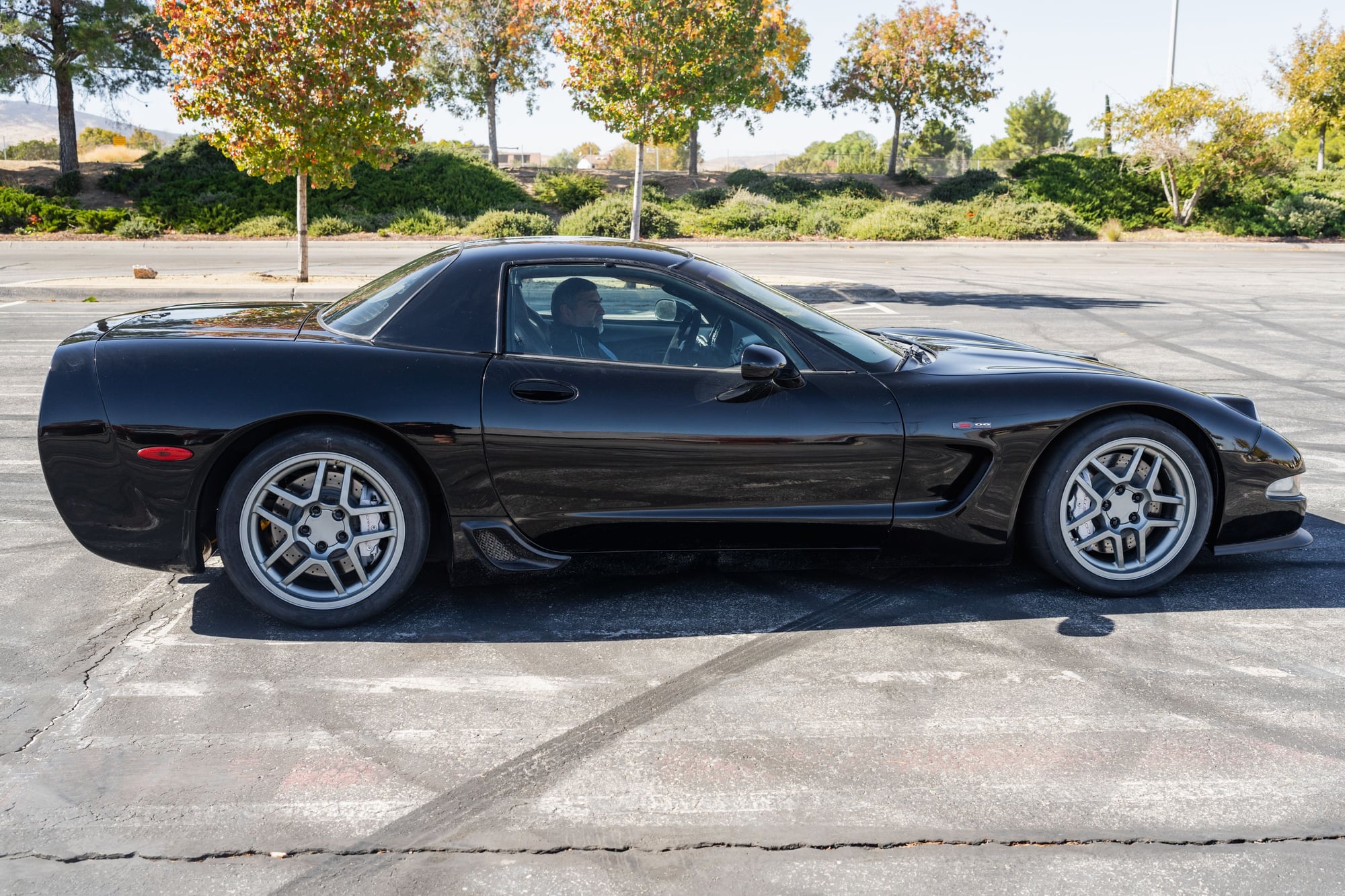 2002 Chevrolet Corvette - 2002 Chevrolet Corvette z06 - Used - VIN 1G1YY12S325123256 - 8 cyl - 2WD - Manual - Coupe - Black - Palmdale, CA 93551, United States