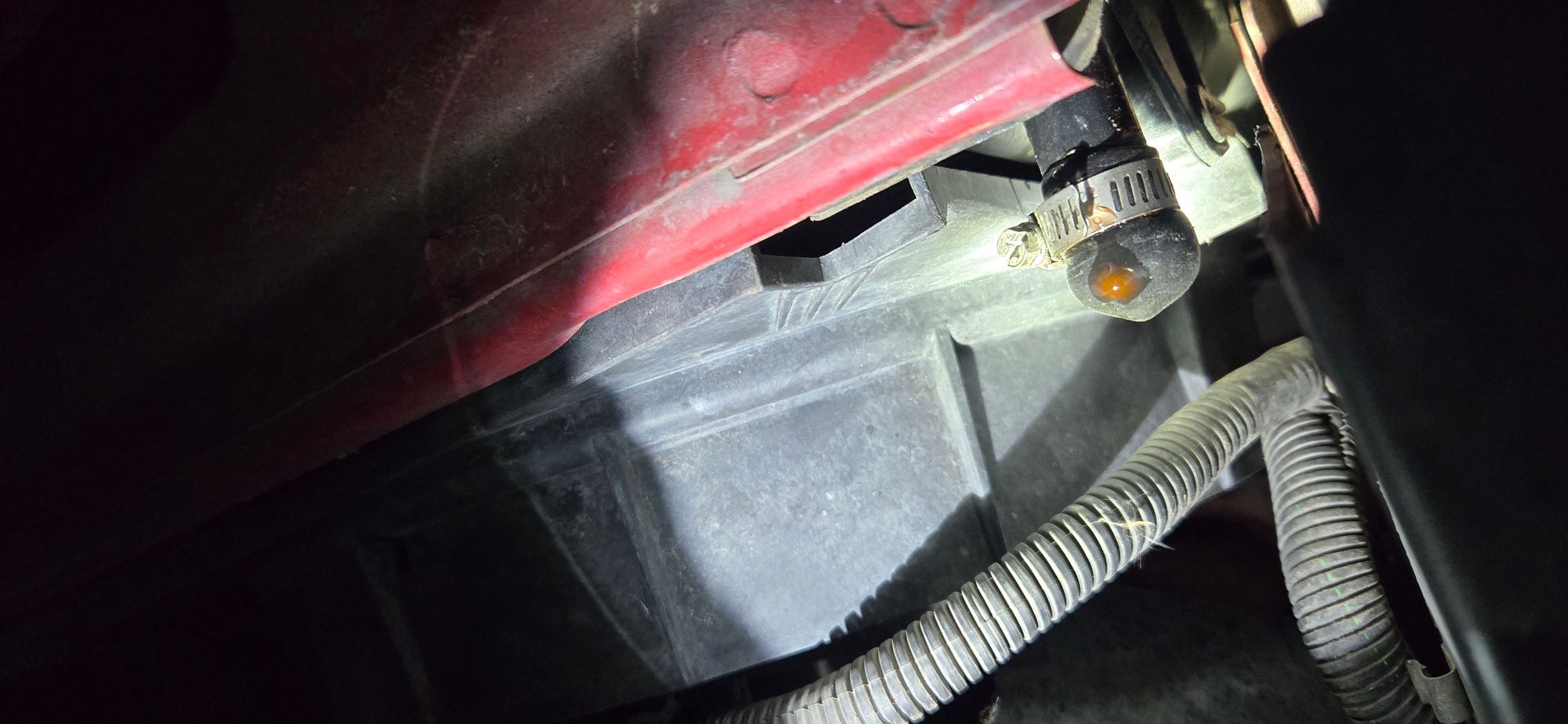 New plug from last week. No cracks or anything.
