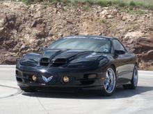 trans am brothers