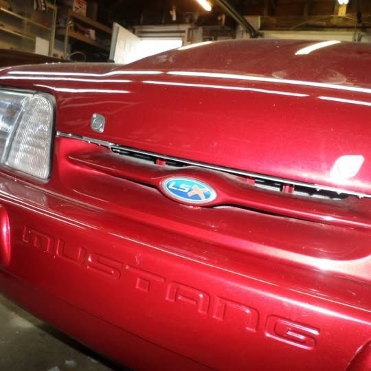 Accessories - Mustang Lsx stickers - New - 0  All Models - Farmington, MI 48336, United States