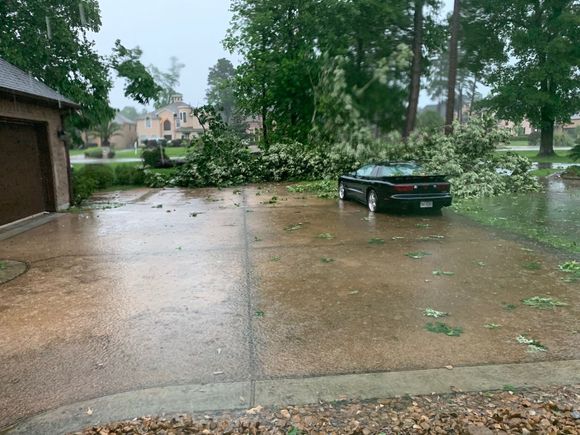 Wind and rain knocked down this very large tree in my front yard in April 2020.