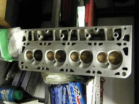 AFR 205 Mongoose Heads w/CNC porting and custom valve job.
