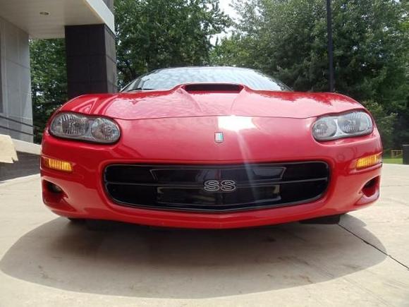 Car is smiling after a nice bath