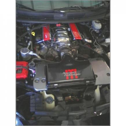 On the Dyno @ Lethal Performance 7 12 08 Engine Pic 1