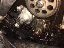 Oil leak from either the cam seals or the crankshaft seal?