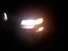 trying to get the black diamond clear headlights cant findem?