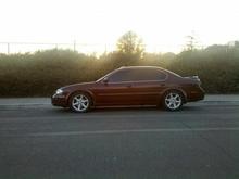 Progress springs   Stagg SHS struts= ^^^^