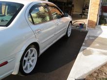 Stock with 18" Axis Halos