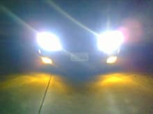 HID and Fogs
