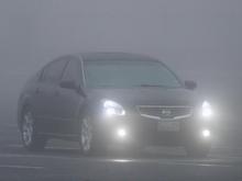 Had to try it in the fog.