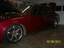 Picture 008