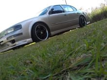 Sittin Low in The Grass