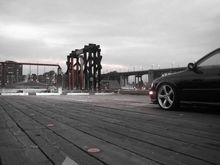 IMG 0824