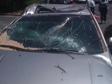 Tree vs. Car