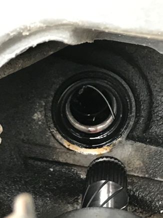 My old seal with spring detached like yours. Upon purchasing a new seal, you can see that the spring is part of the seal on the back side. New seal= new spring. Go ahead toss the old spring and change the seal.