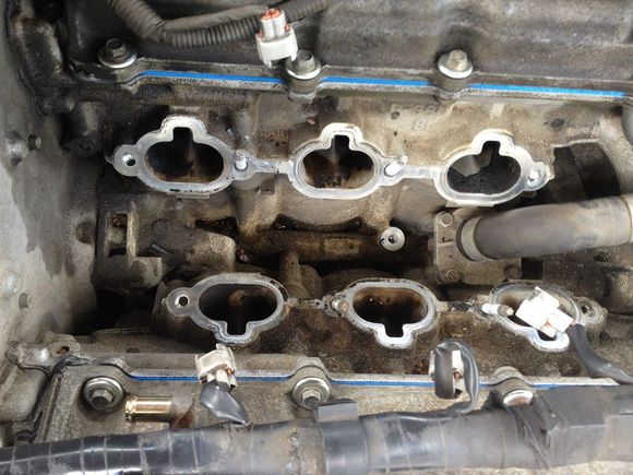Re-Seal the timing chain case to?