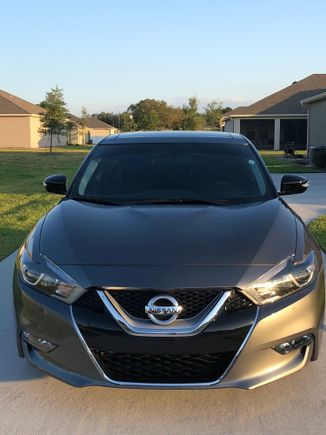 New Tint