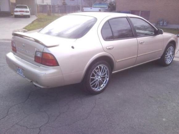 Rear View