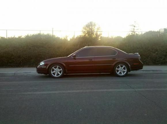 Progress springs   Stagg SHS struts= ^^^^