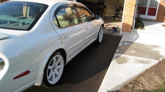 Stock with 18" Axis Halos