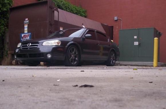 Picture 031