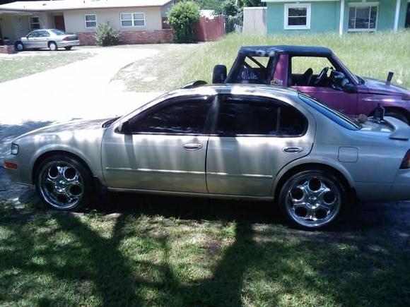 Tint all around