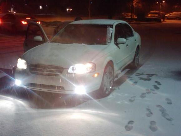 Maxine chilling in the MidSouth Snow Storm 2011.