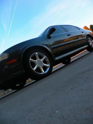My Maxima