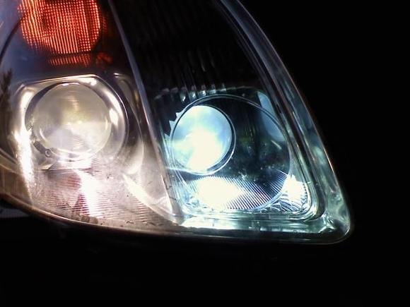 HID bulb in