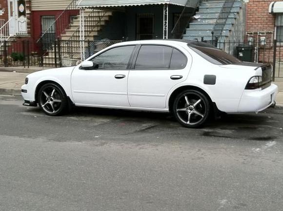 photo (3)