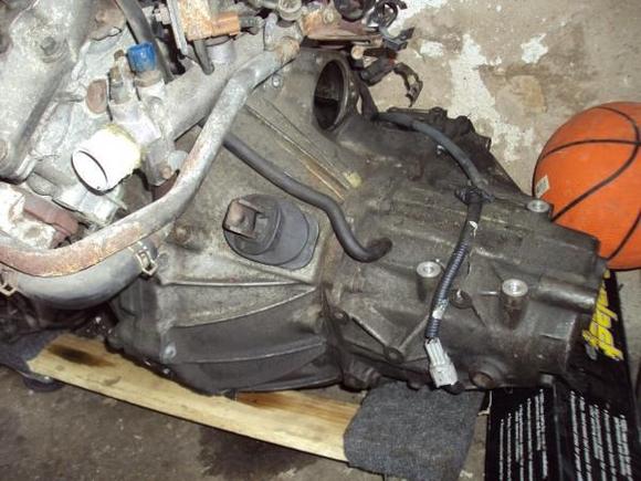97 5spd trans