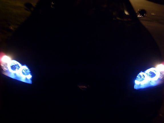 halos on