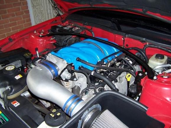 Mustang Engine Bay