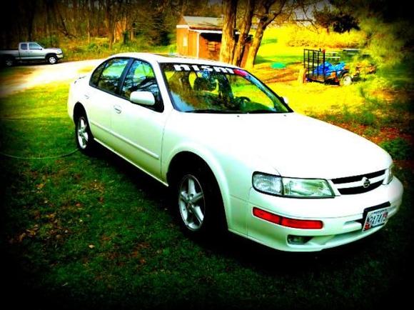 TurtleWax ♥