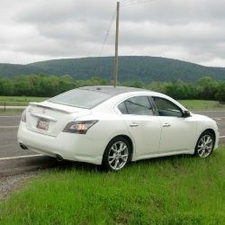 dead maxima3