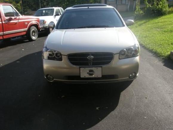 halos with Nissan badge.