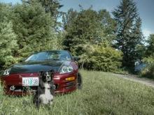 My dog and my car
