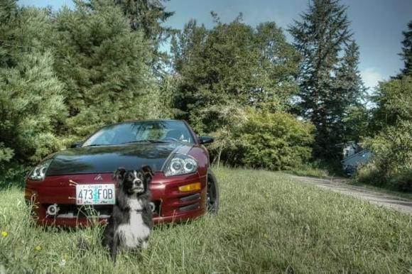 My dog and my car
