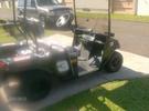 Dale Earnhardt Golf Cart