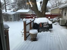 This was a shot out the back door this morning you can see how much snow we got here 4 to 5 inches for sure. 