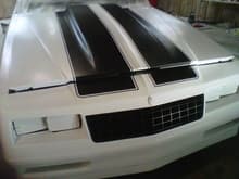 84 paint, in my new garage when I painted it. stripes are 13&quot; wide each and lined up with the grill pretty well.