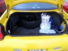 A clean trunk is a Good Trunk!