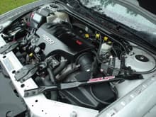 Engine Cover Decals &amp; SLP CAI