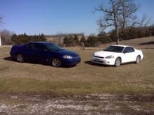 My Monte and My Aunt's Monte