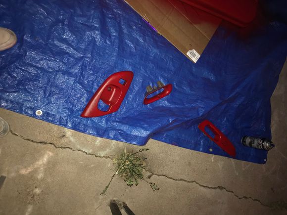 Decided to go with red